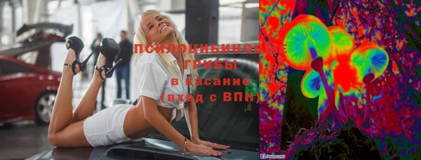 спиды Дмитриев