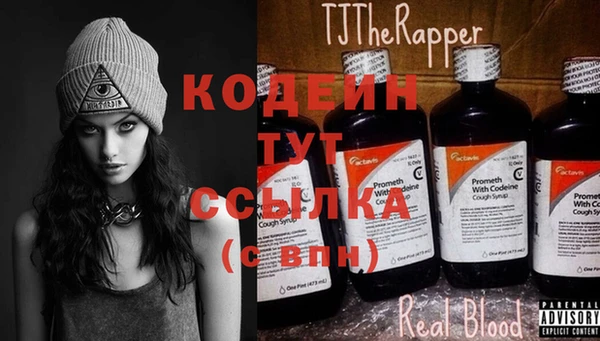 спиды Дмитриев